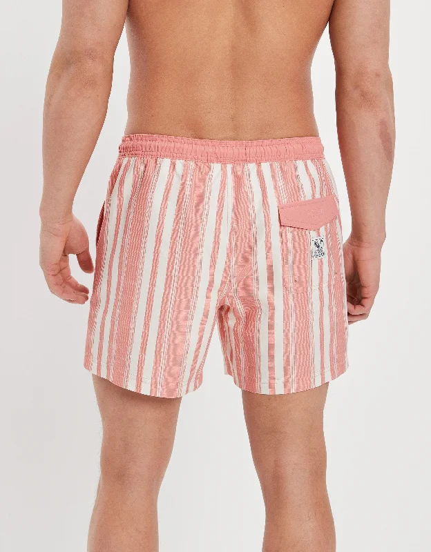 AE 5.5" Striped Swim Trunk